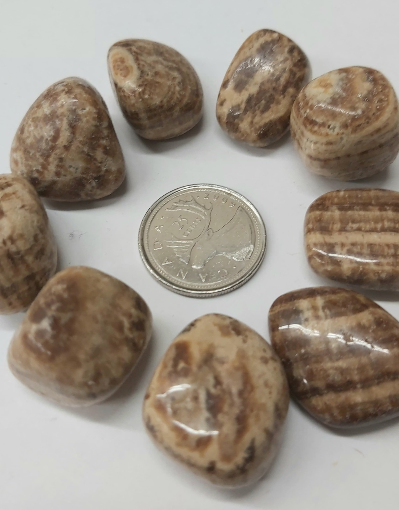 Aragonite Tumbled Small $2