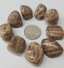 Aragonite Tumbled Small $2