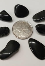 Black Obsidian Tumbled $2