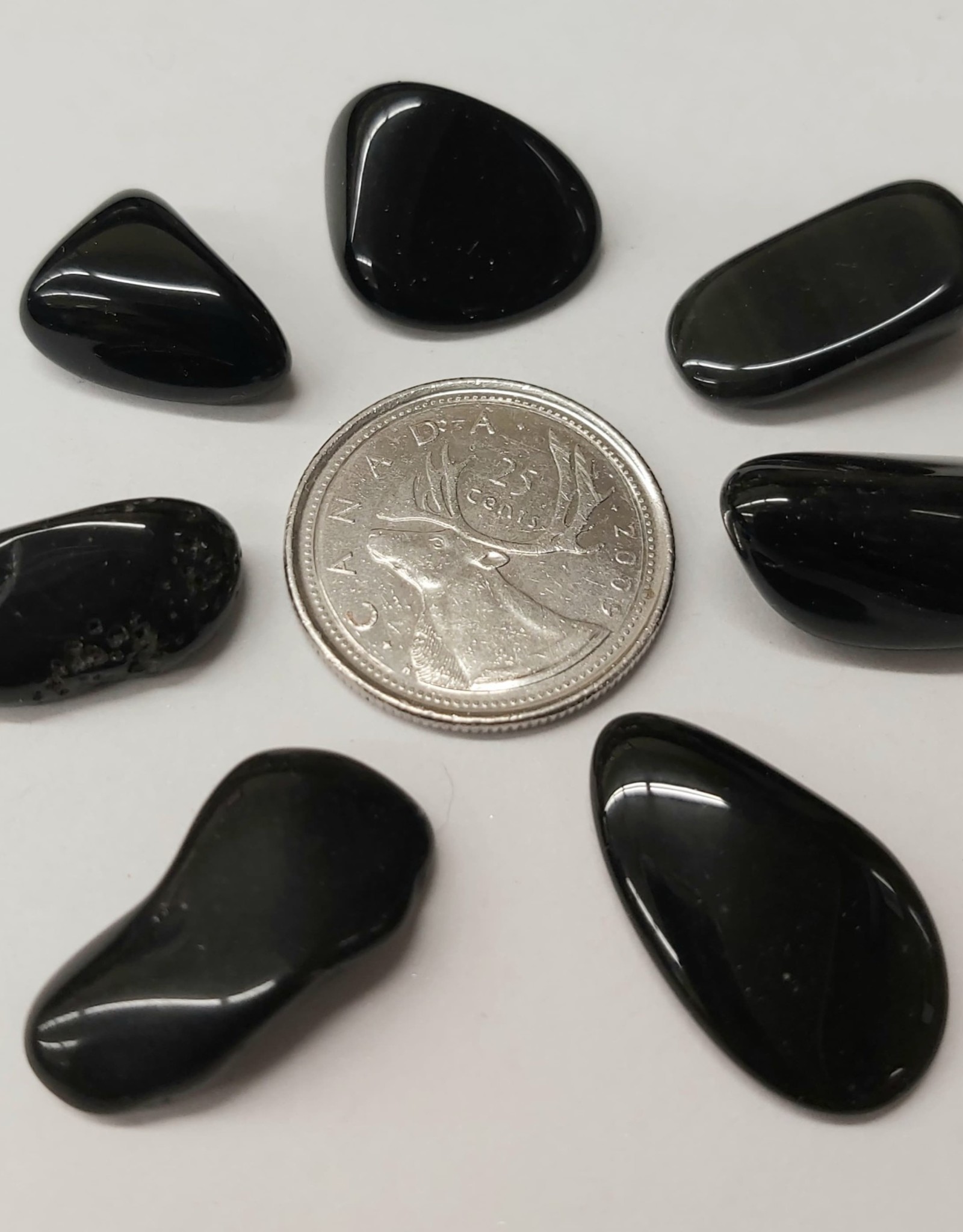 Black Obsidian Tumbled $2