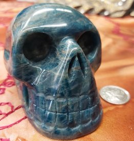 Apatite Skull 3.5in - $249