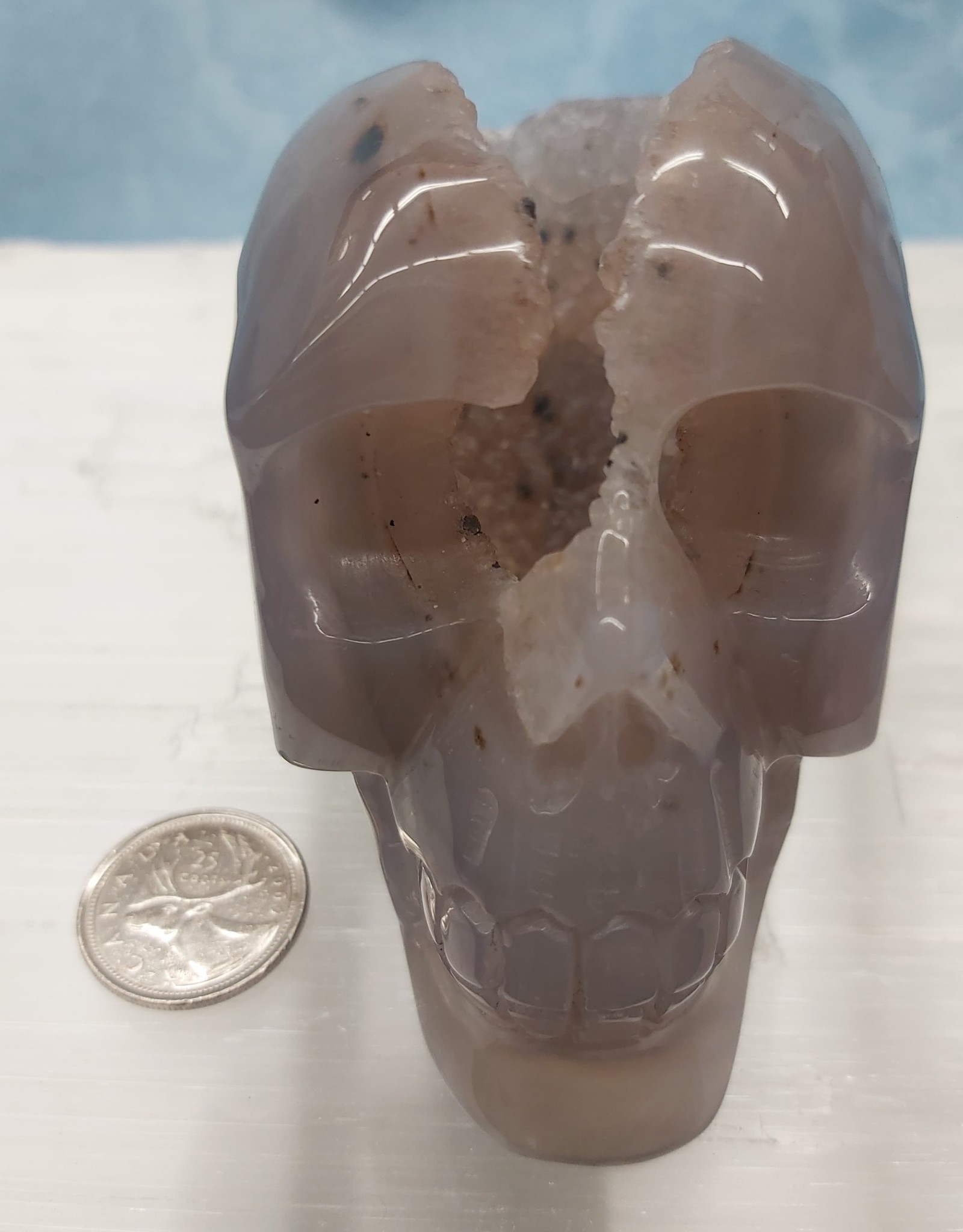 Druzy Agate Skull 4.75in - $175