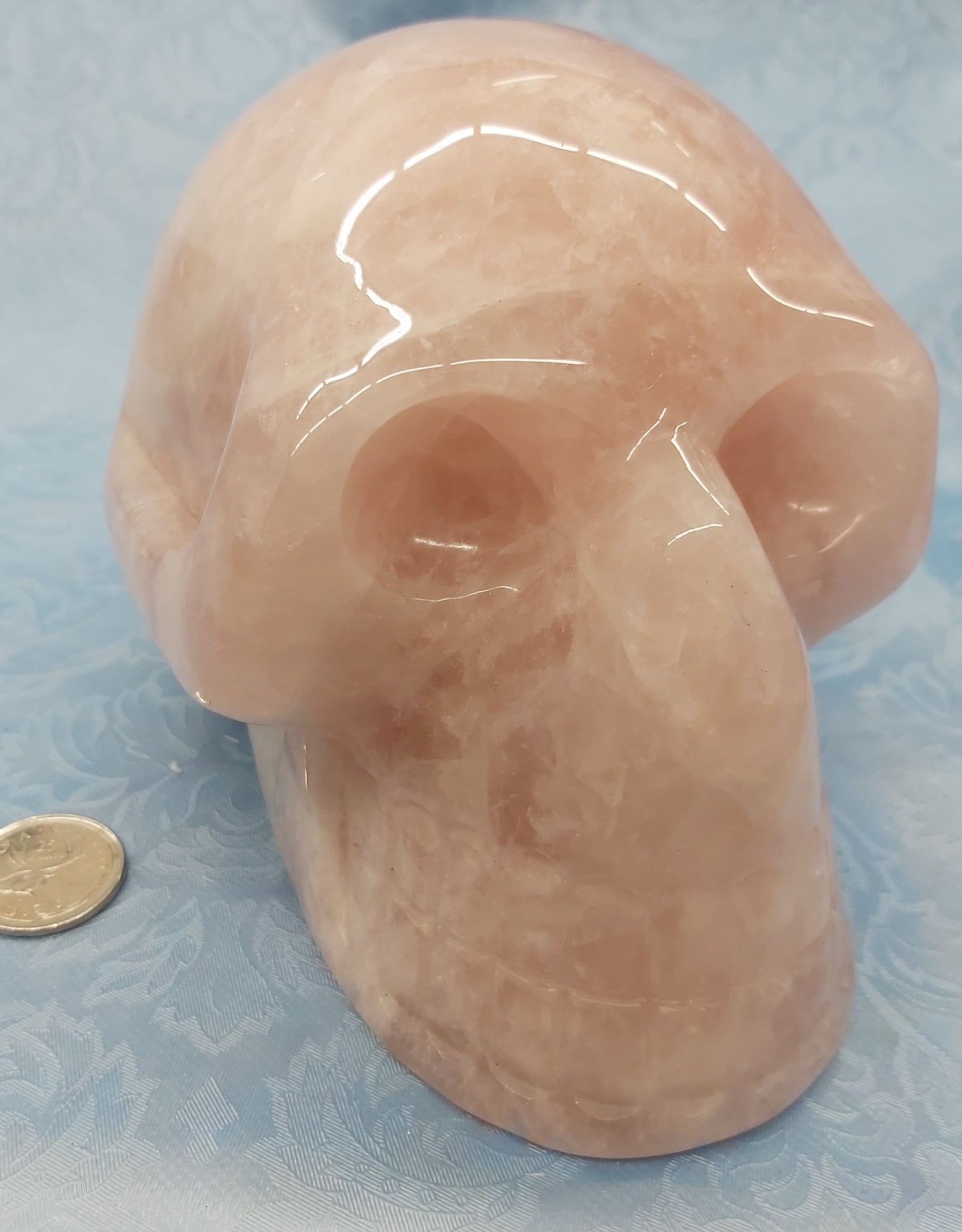 Rose Quartz Skull  6.5in - $515