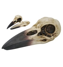 Pacific Trading Raven Skull Statue