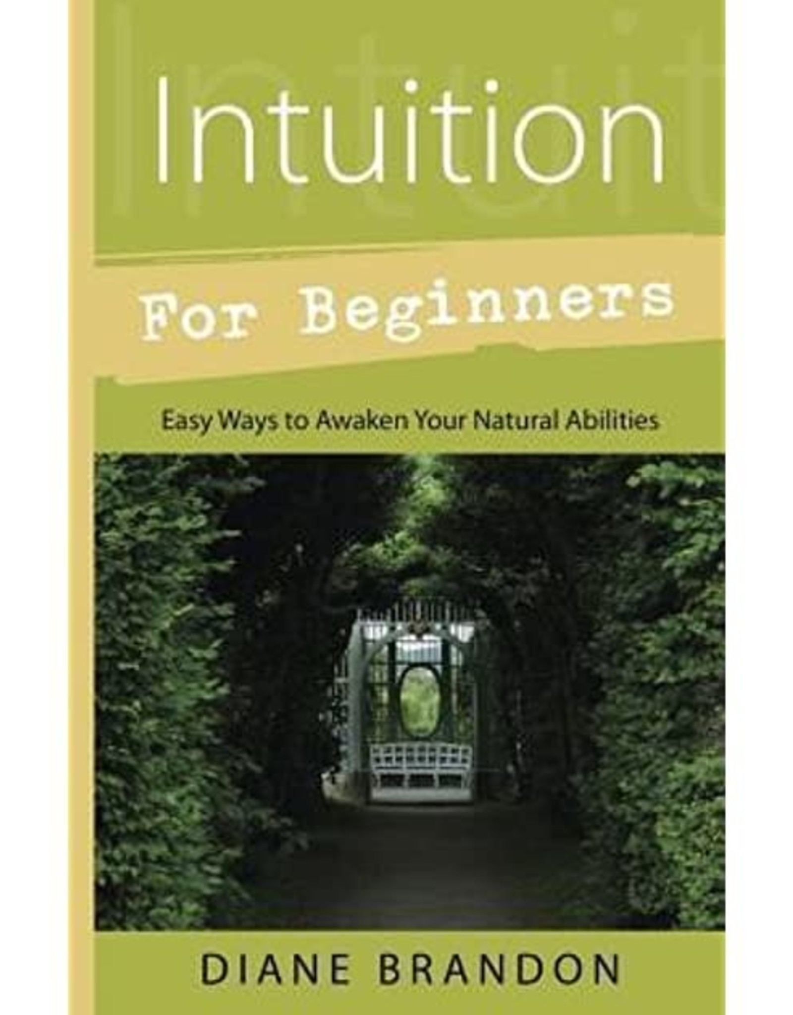 Diane  Brandon Intuition for Beginners by Diane Brandon