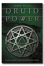 Amber Wolfe Druid Power by Amber Wolfe
