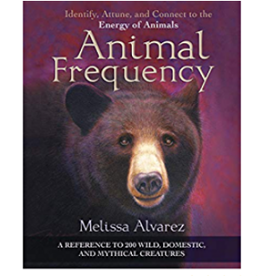Melissa  Alvarez Animal Frequency by Melissa Alvarez