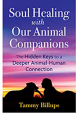 Tammy Billups Soul Healing with Our Animal Companions by Tammy Billups