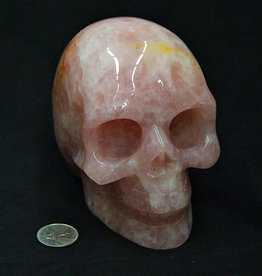 Rose Quartz Skull 5in