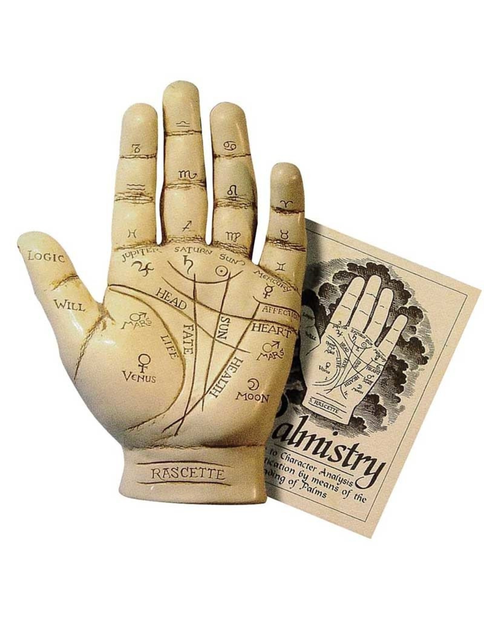 Fantasy Gifts Palmistry Hand Statue
