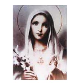 Mother Mary w Lilies 5x7 Laminated Card