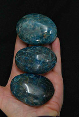 Blue Apatite Palmstone Medium $15
