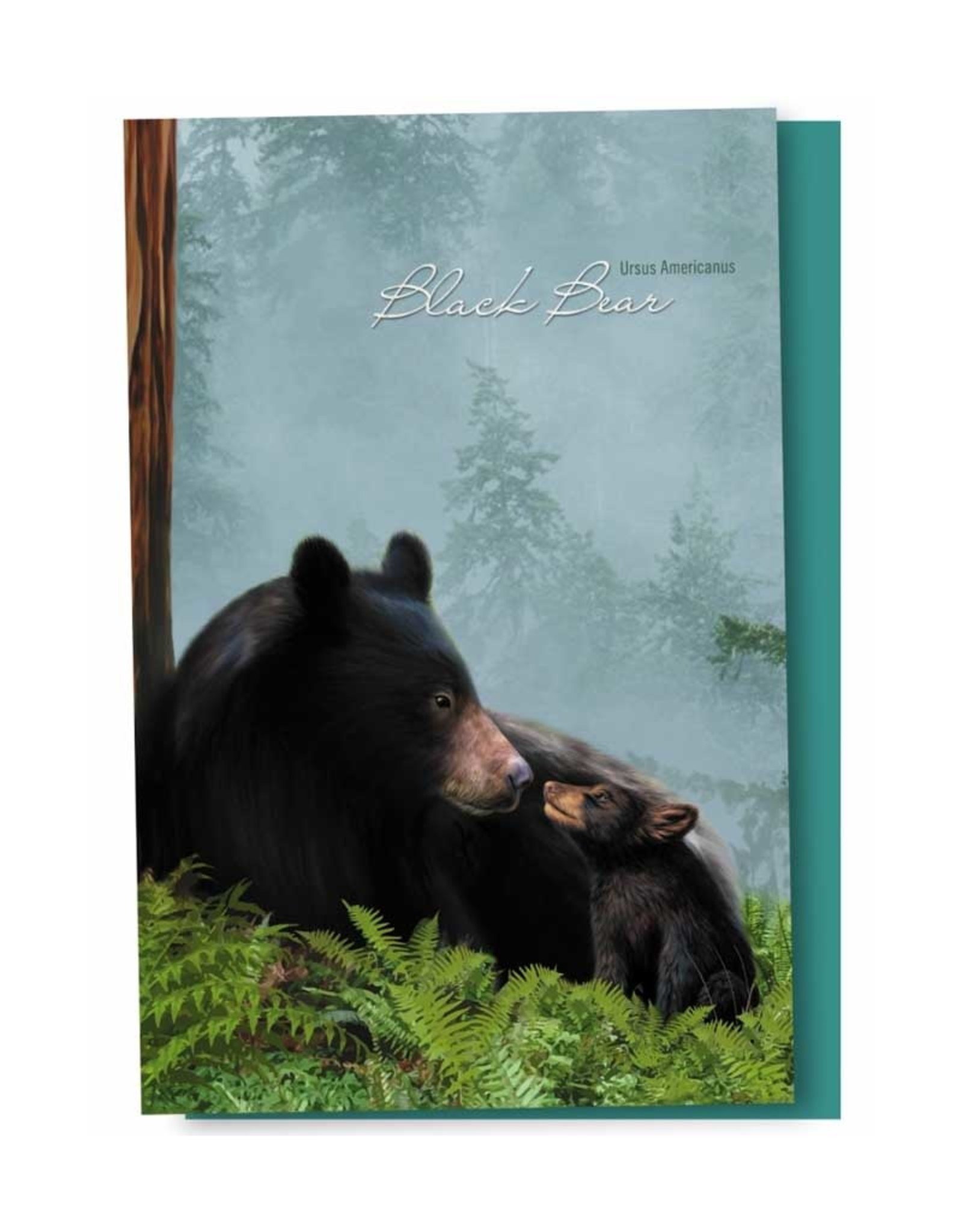 Tree - Free Greetings *CLEARANCE* $10 Black Bear Family  - 12 Notecards