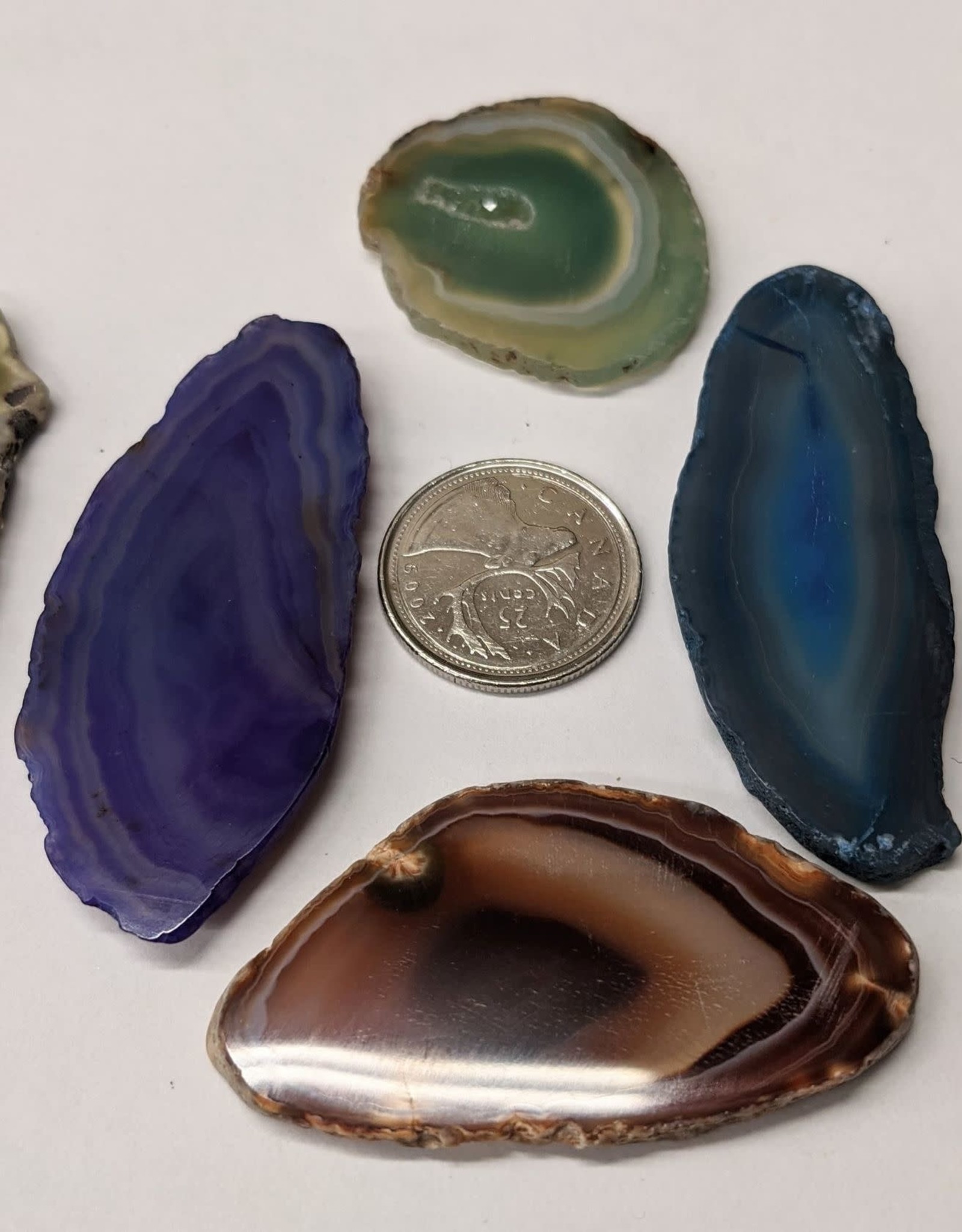 Agate Slices $6