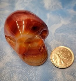 Carnelian Skulls  1.75"