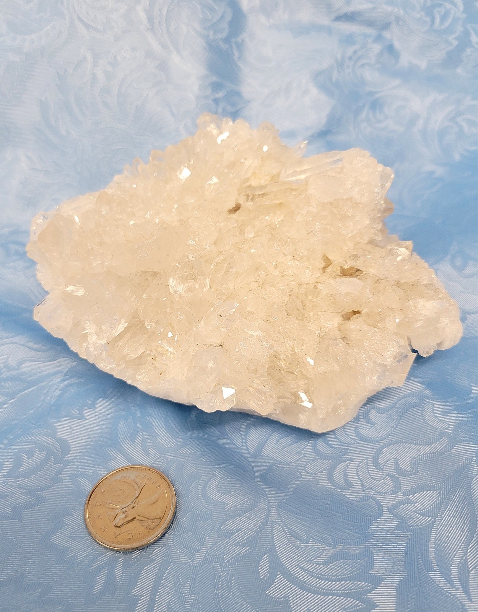 Clear Quartz Cluster $133