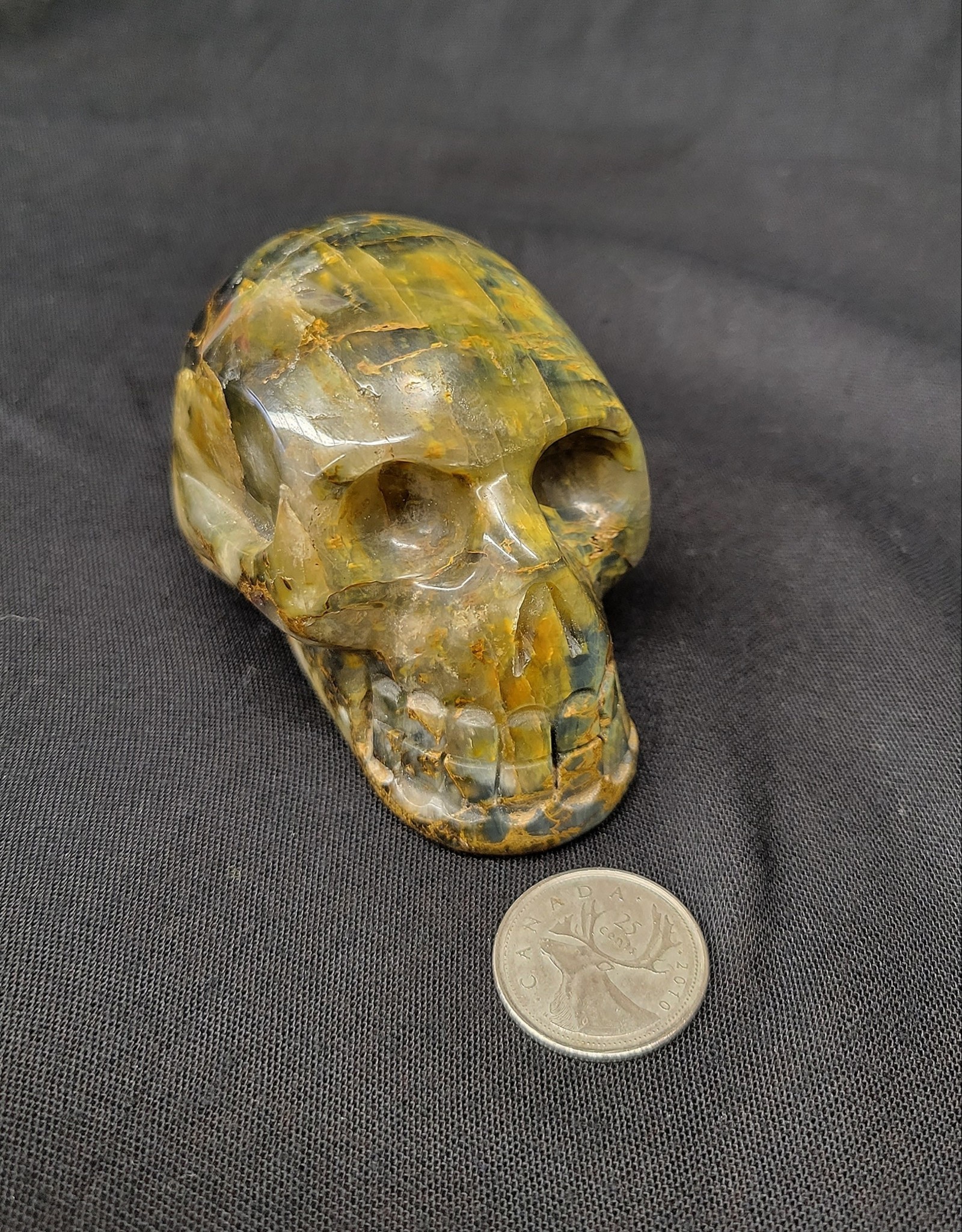 Pietersite Skull 3"