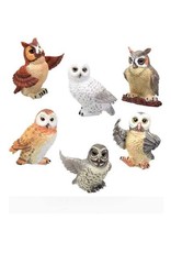 Owl Small