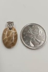 Fossil Coral Pendant B Sterling Silver