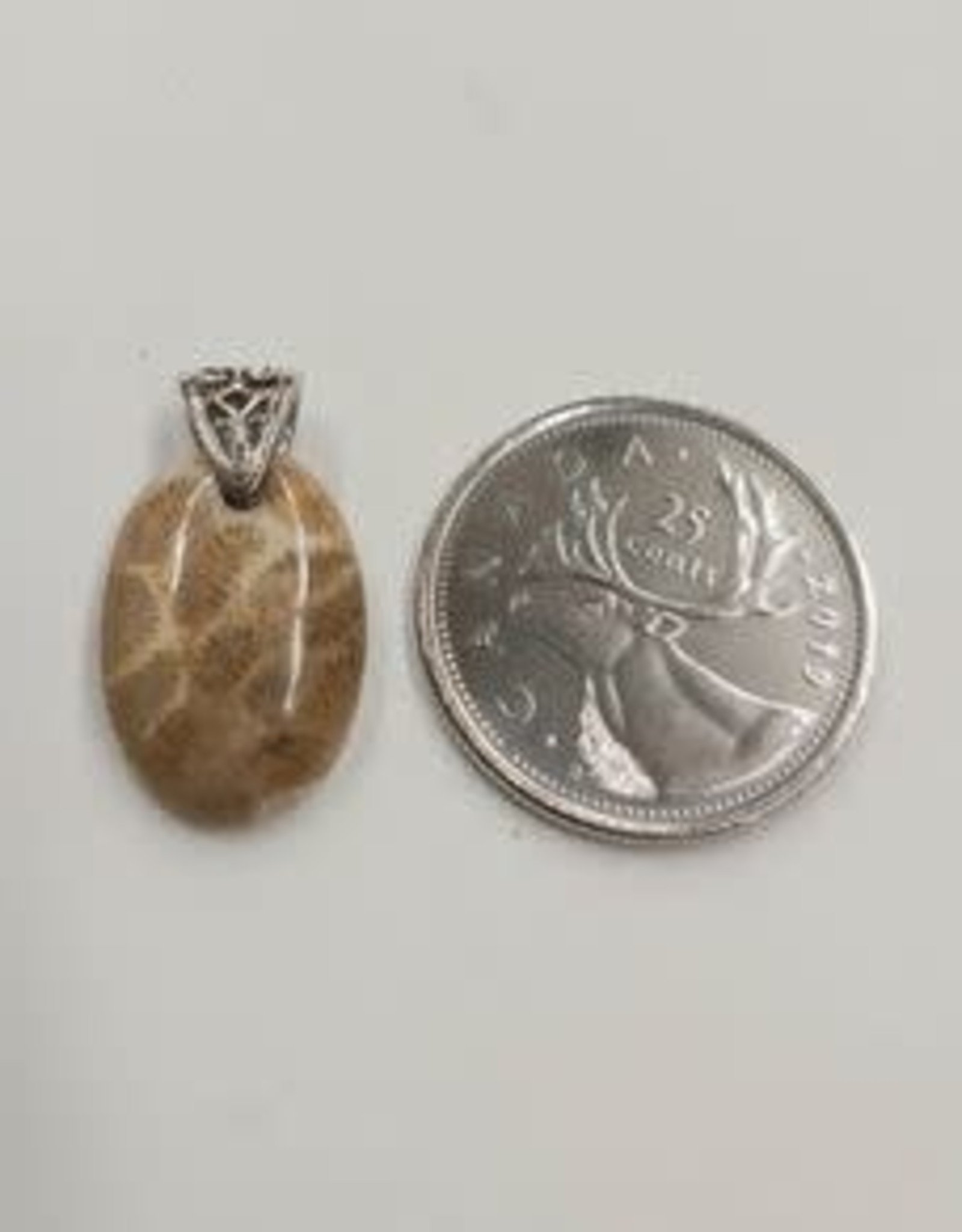 Fossil Coral Pendant B Sterling Silver