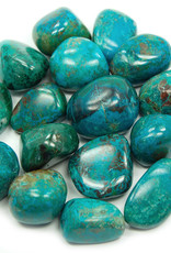 Chrysocolla Tumbled Small