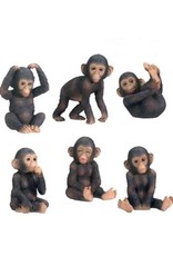 Baby Chimpanzees 2"-4"