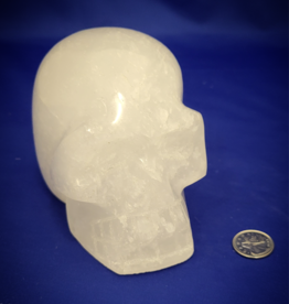 Clear Quartz Skull 5.5"