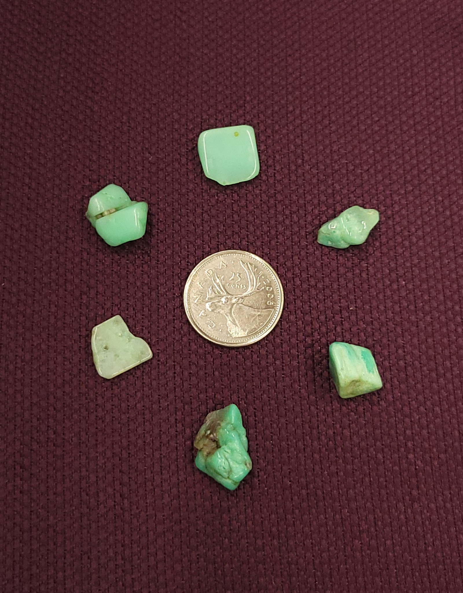 Chrysoprase Tumbled Small