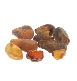 Amber Tumbled Rough