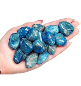 Blue Apatite Tumbled