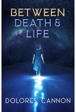 Between Death and Life by Dolores Cannon