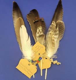 $20 Smudge Fan - Assorted Feathers