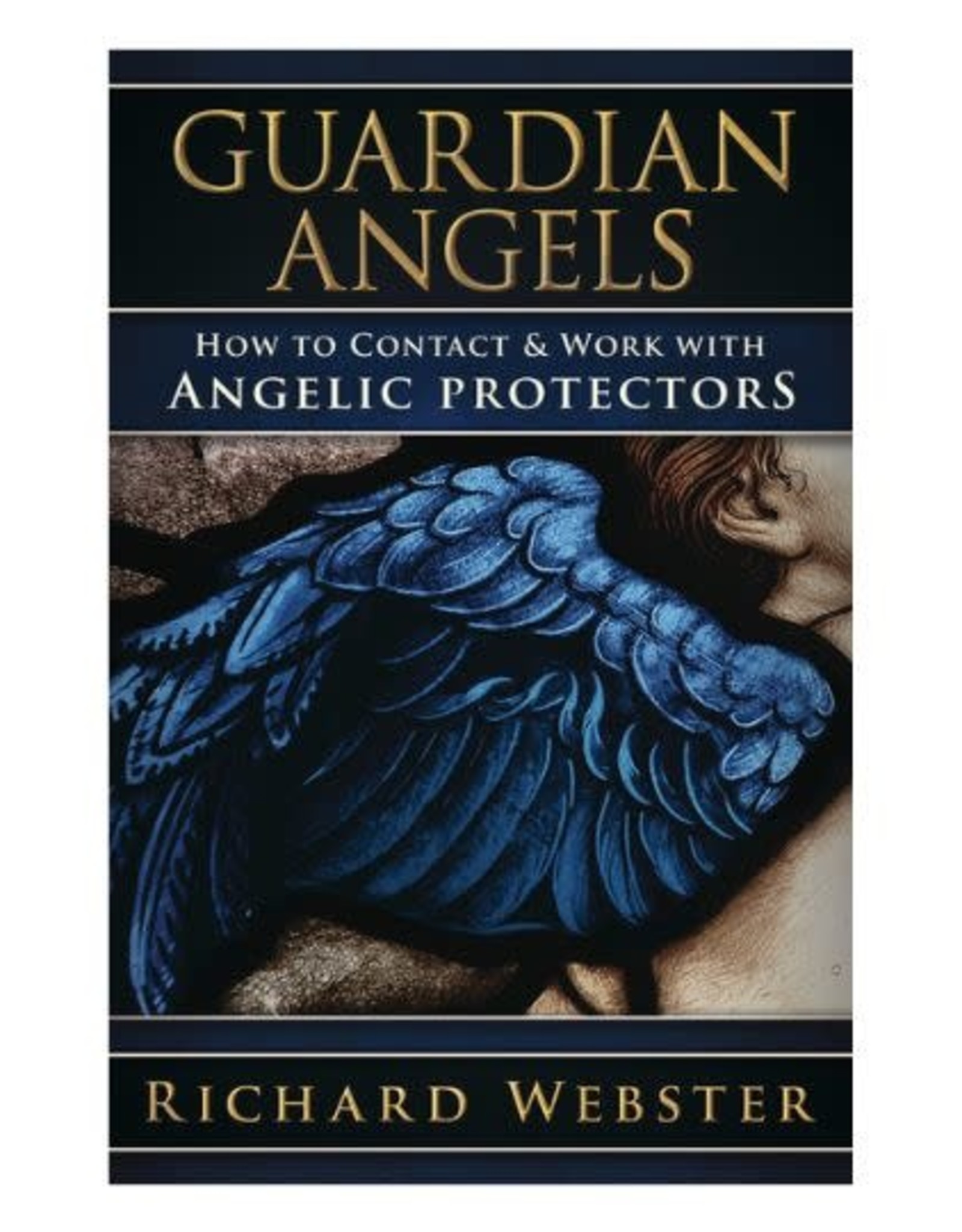 Richard Webster Guardian Angels by Richard Webster