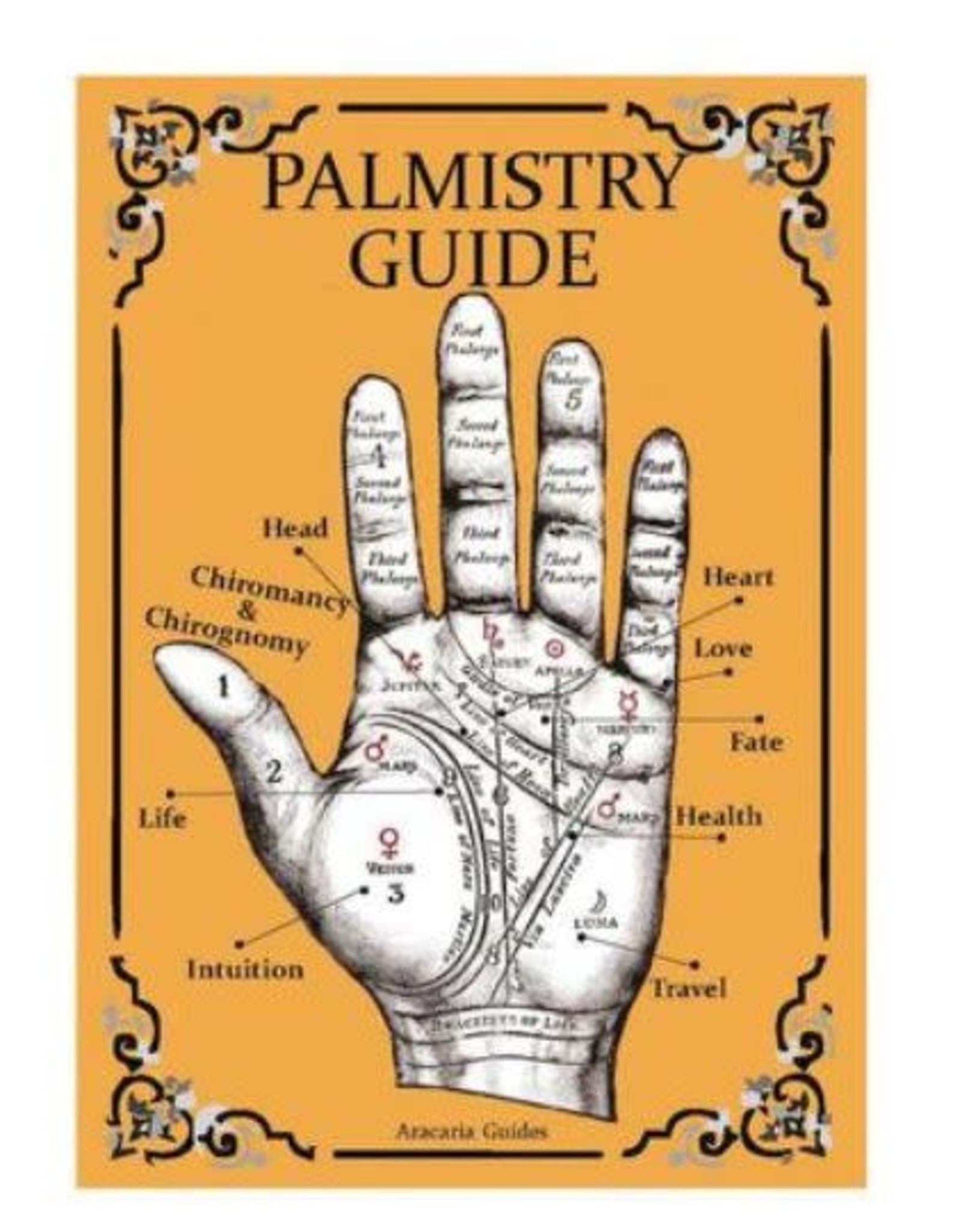 Palmistry Guide ( Laminated folded Guide) by Stefan Mager