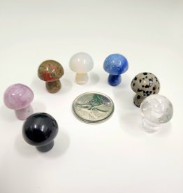 Assorted Crystal Mini Mushrooms