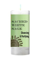 World Magic Sacred White Sage Candle 4.5"