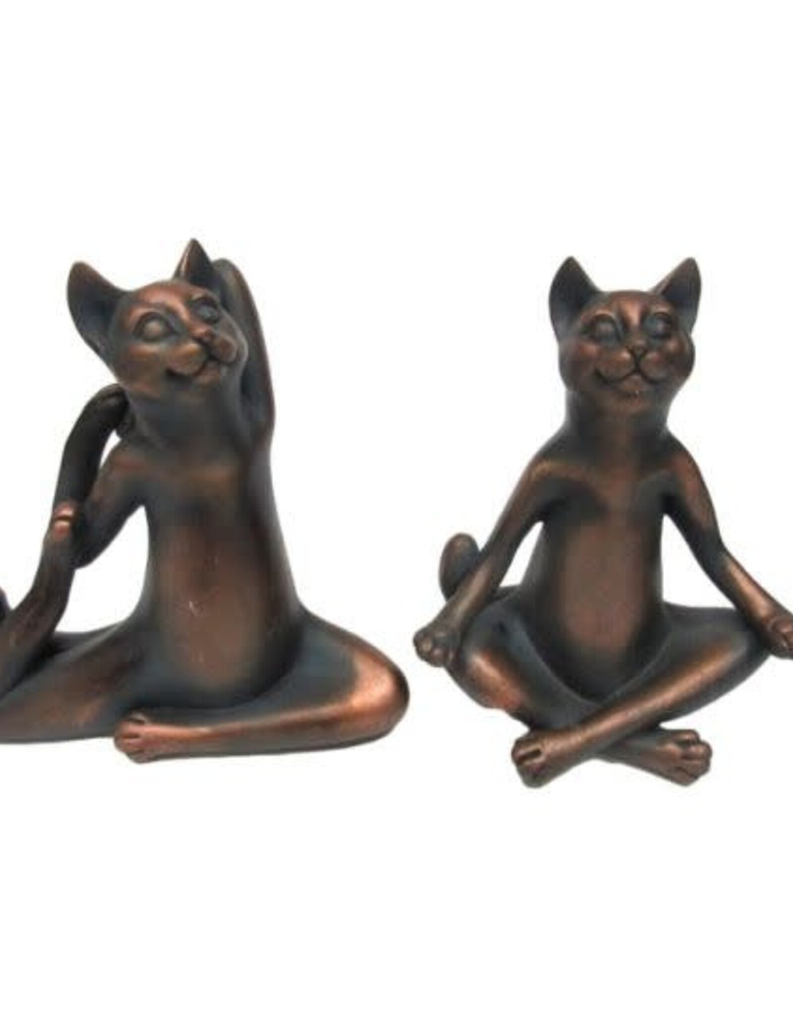 Yoga Cat 5"