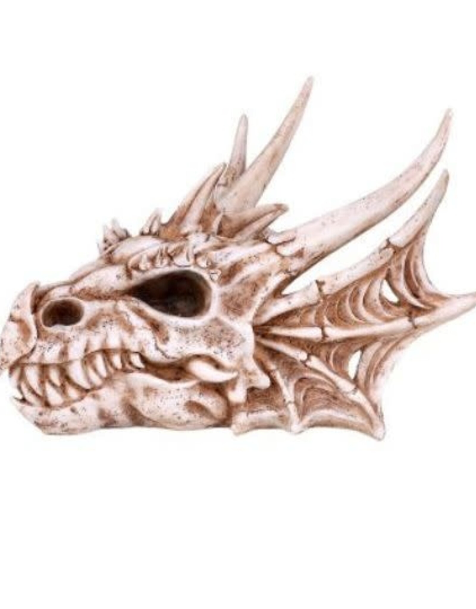 Dragon Skull Head 7" x 10.5"