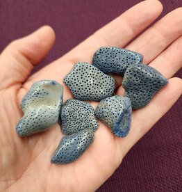 Blue Coral Tumbled