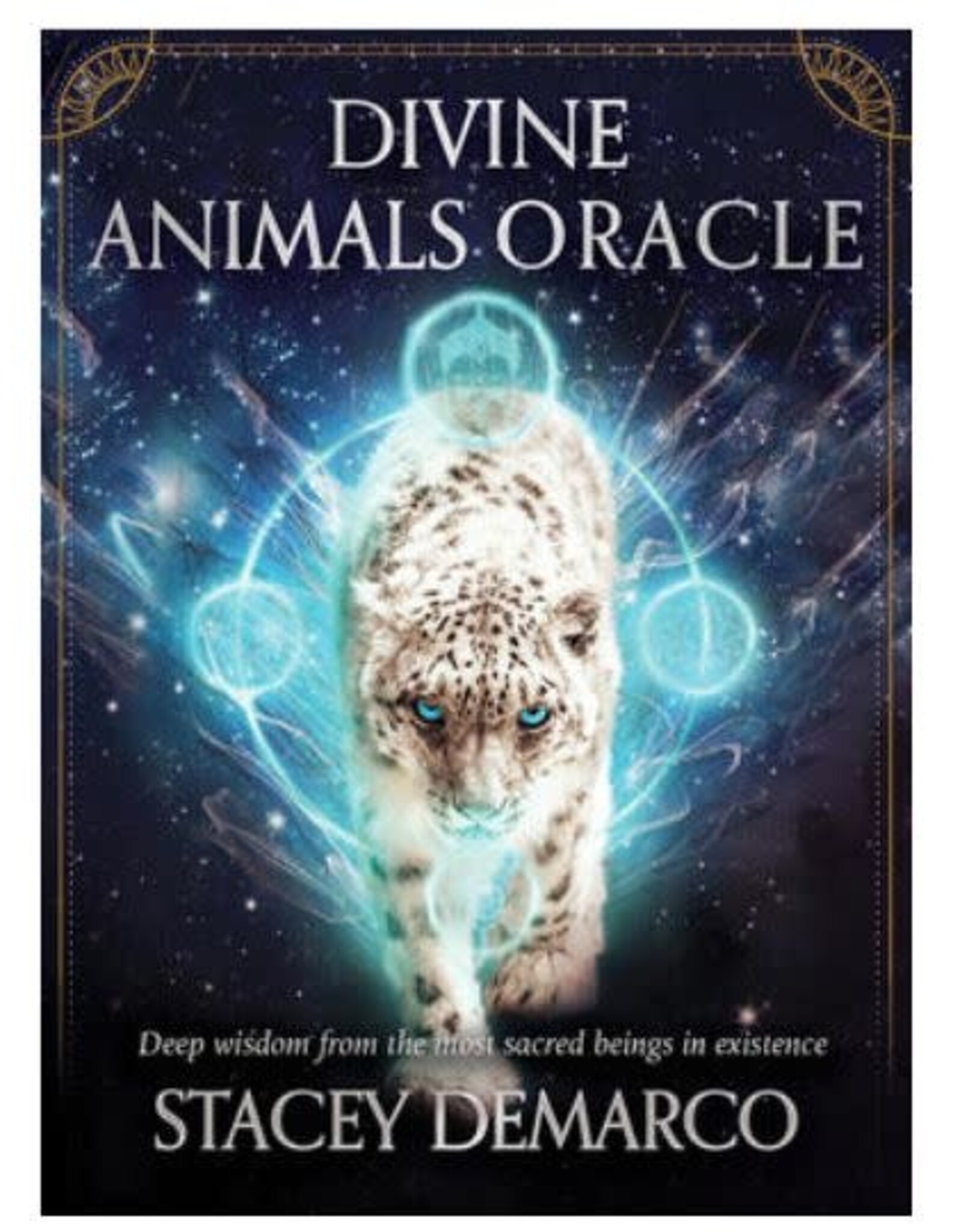 Stacey Demarco Divine Animals Oracle by Stacey Demarco