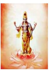 Vishnu - Laminated Cards