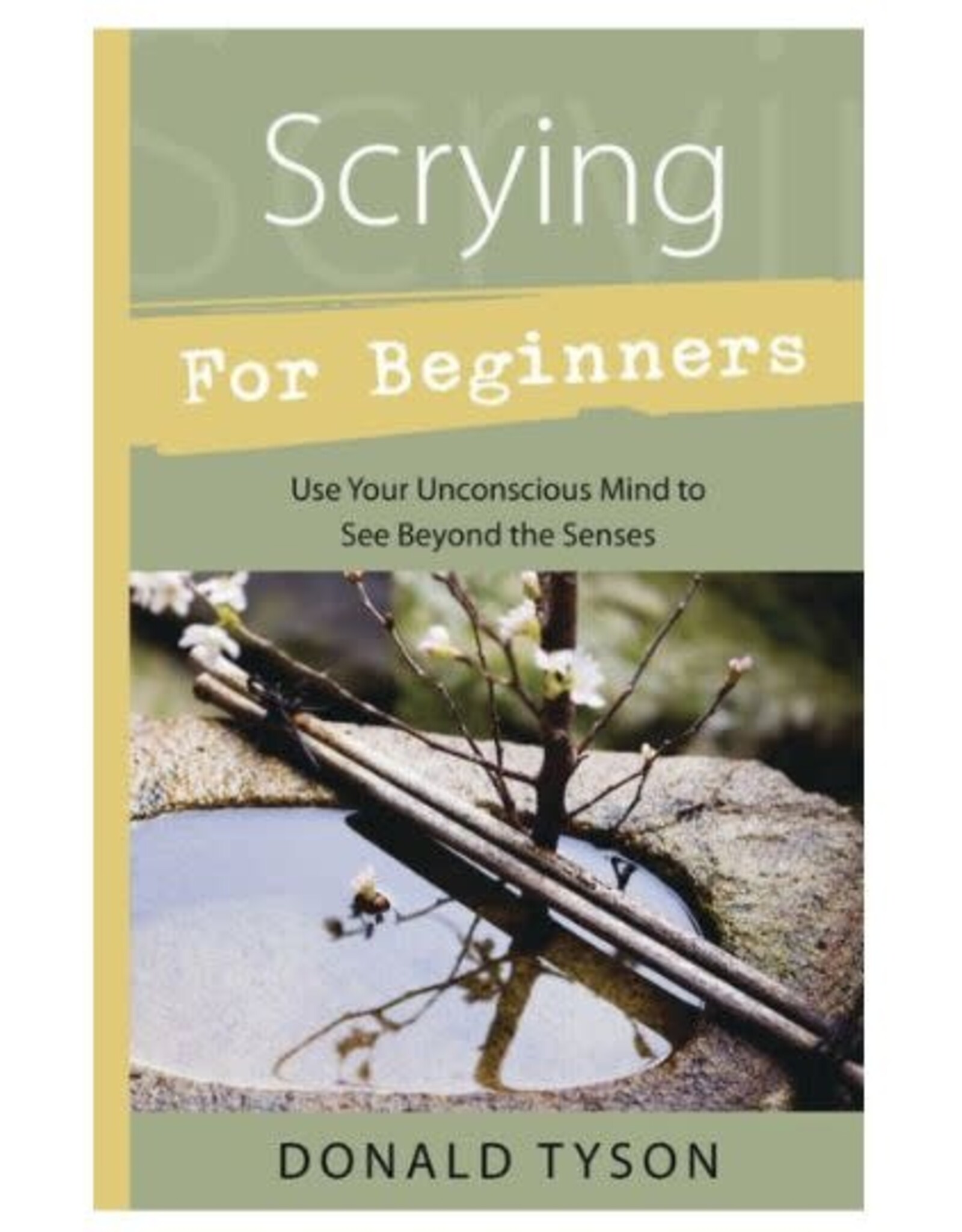 Donald Tyson Scrying for Beginners by Donald Tyson