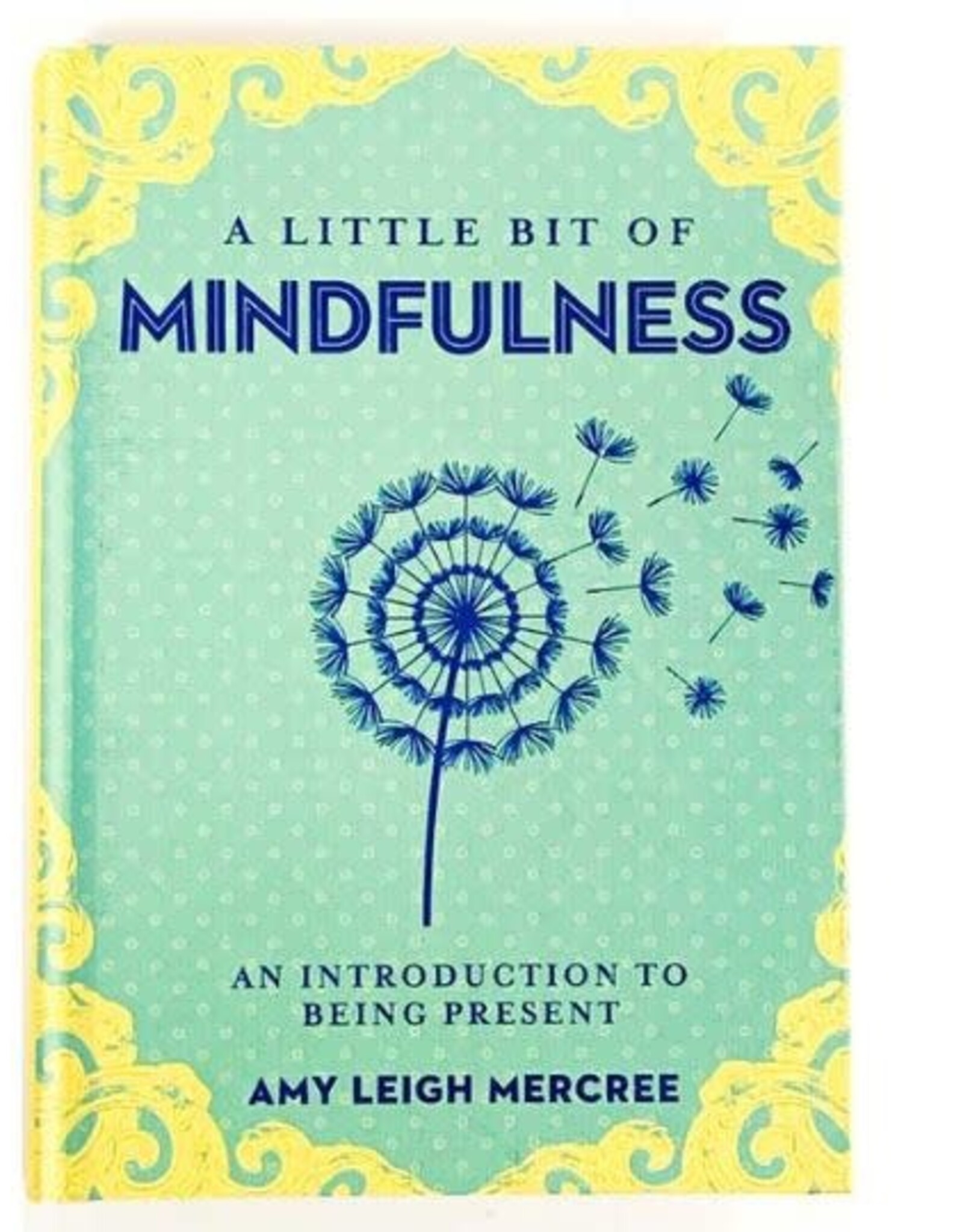 Amy Leigh Mercree A Little Bit of Mindfulness by Amy Leigh Mercree