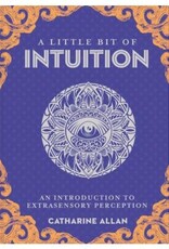 Catharine Allan A Little Bit of Intuition by Catharine Allan