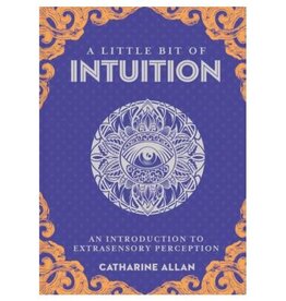 Catharine Allan A Little Bit of Intuition by Catharine Allan