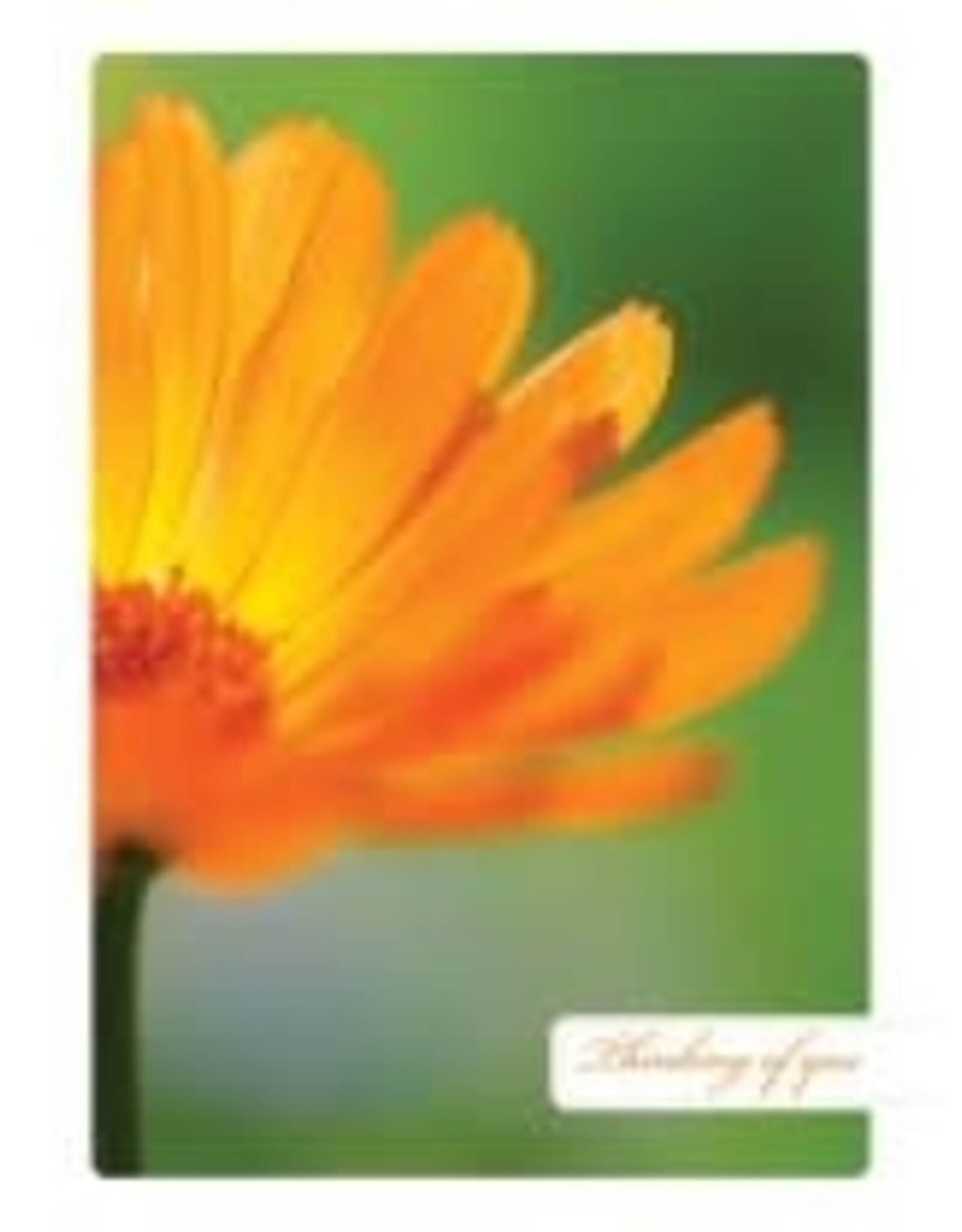 Tree - Free Greetings Bright Thoughts - Greeting Card