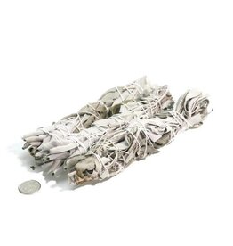 6" White Sage Stick Organically Grown Locally