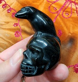 Black Obsidian Raven on Skull