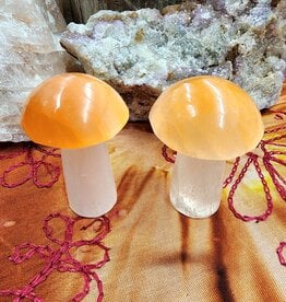 Peach Selenite Mushrooms 2.5" - 3"