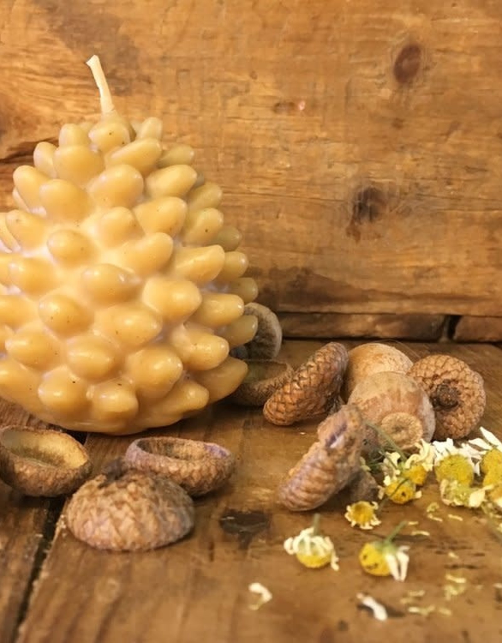 Beeswax PineCone Candle